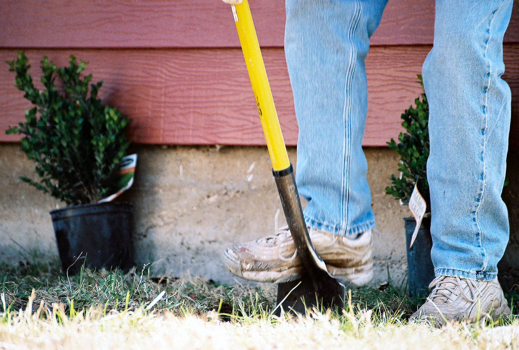 The 3 Best Shovels to Have at Home